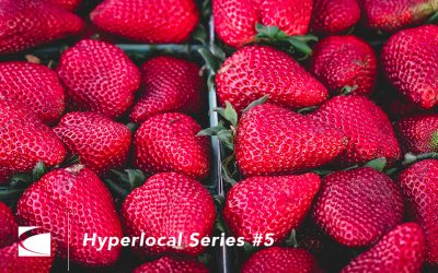 Hyperlocal Marketing Series #5: Loyalty Programs